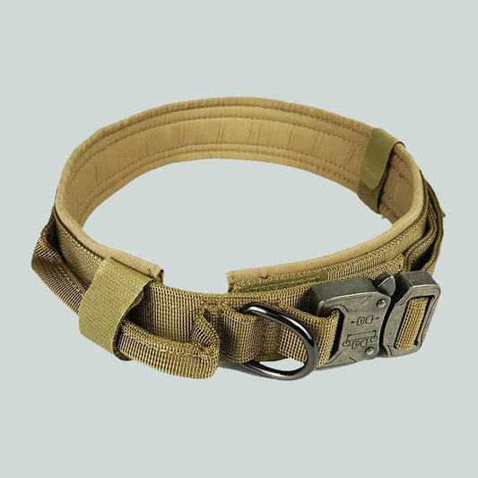 Tactical Dog Collar with Handle – Adjustable Sizes